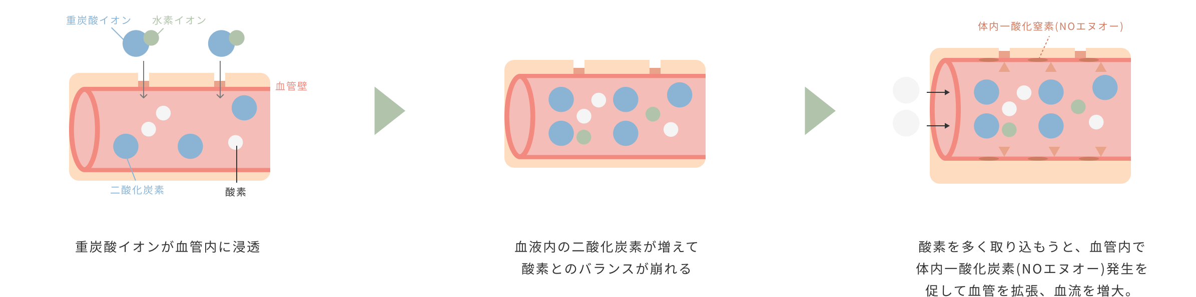 重炭酸イオンが血管内に浸透