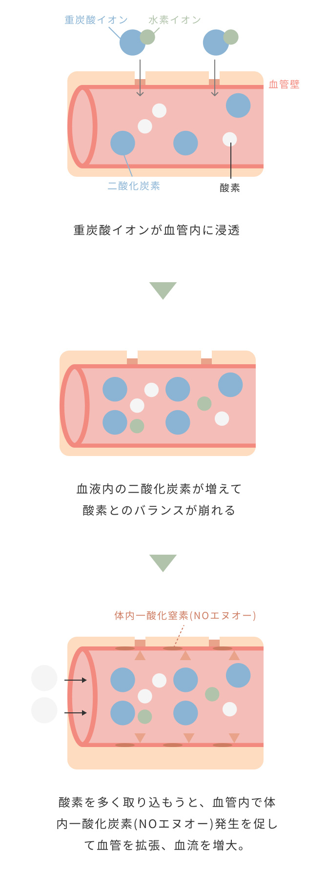 重炭酸イオンが血管内に浸透