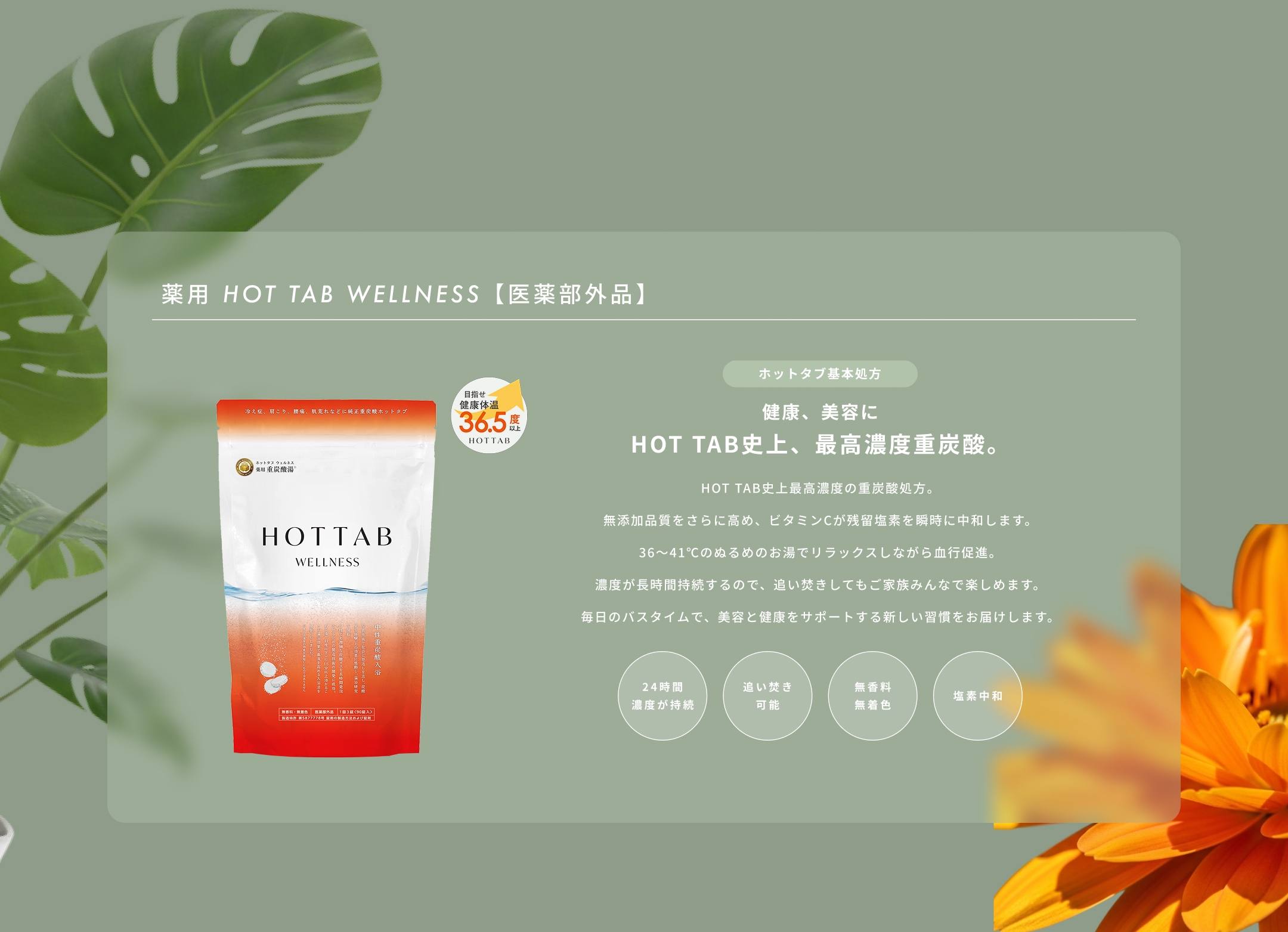 PRODUCTS - HOT TAB製品一覧
