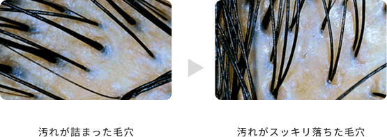 セクション04装飾画像