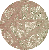 キメの整った肌