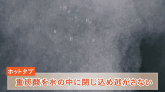 血流改善イメージ2